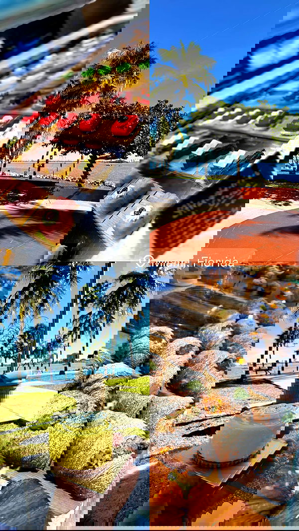 biton__adi biton__adi archive image