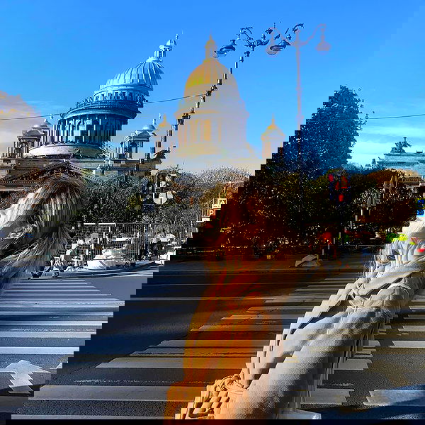 pinx_ir pinx_ir archive image