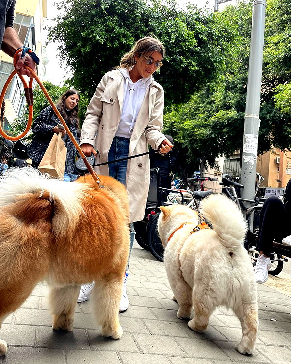 annezivi instagram image archive image