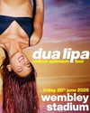 dualipa Altpins Profile Picture