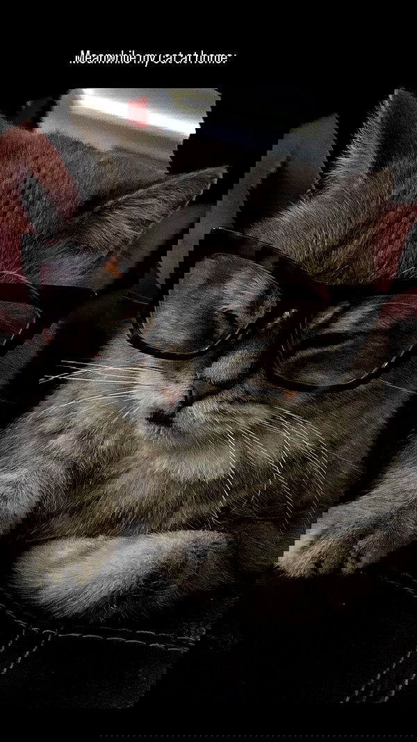 natalllluli natalllluli archive image