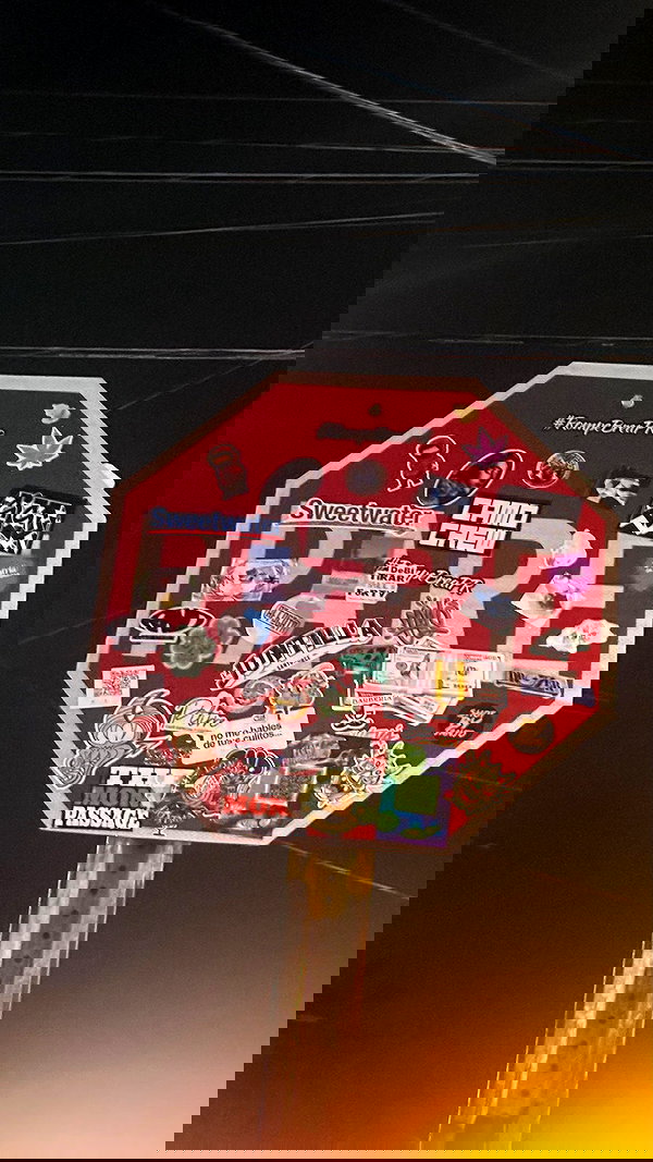 mosssaico mosssaico archive image