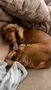 netabar Altpins Profile Picture