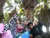 sp1der_eggs Altpins Profile Picture