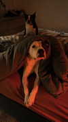 jade.schutte Altpins Profile Picture