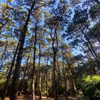 solzarubin_ Altpins Profile Picture