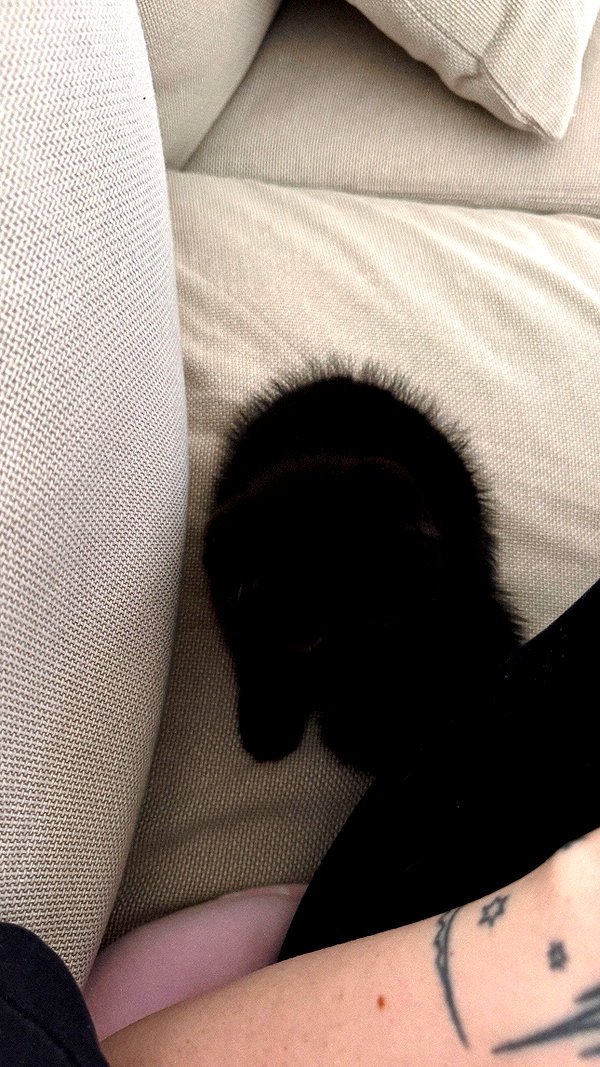 Archived image from @mewisa on Instagram