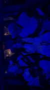 mekhrona_18 Altpins Profile Picture