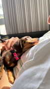 maya.keyy Altpins Profile Picture