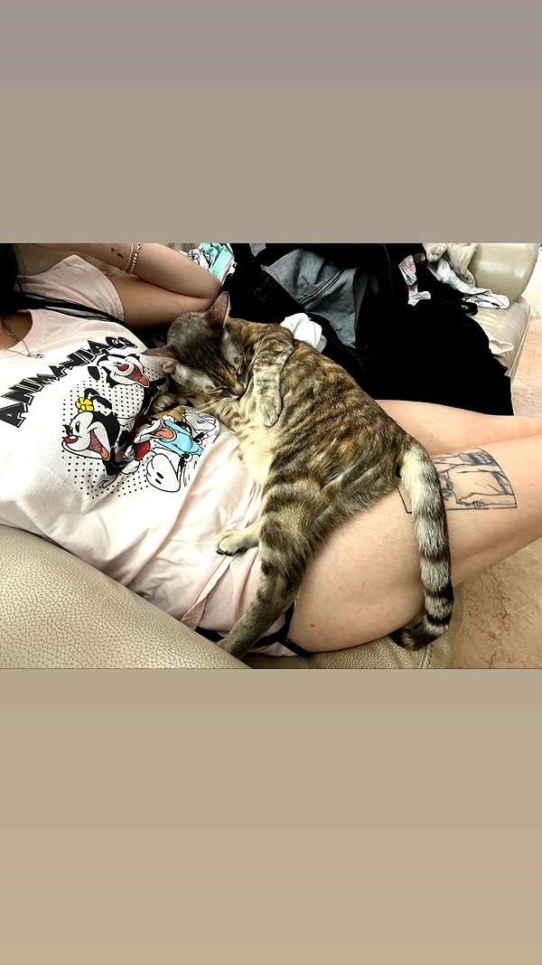 Archived image from @notchicore on Instagram
