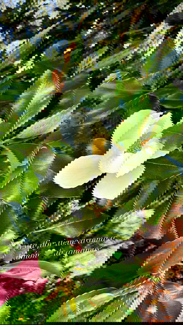 shunli__mei shunli__mei archive image