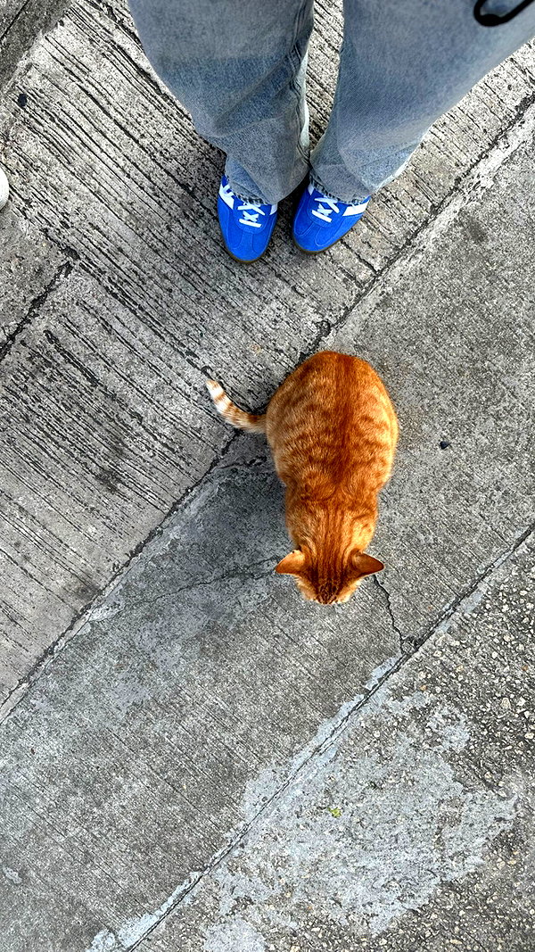 bbyambi instagram image archive image