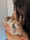 bbyambi Altpins Profile Picture