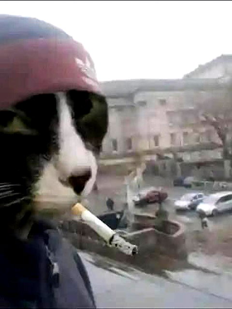 6nattynat9 instagram image archive image