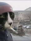 6nattynat9 Altpins Profile Picture