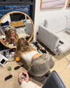 katiehamden_ Altpins Profile Picture