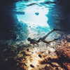 gabbyepstein Altpins Profile Picture
