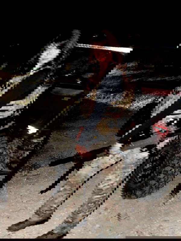 haylujan haylujan archive image