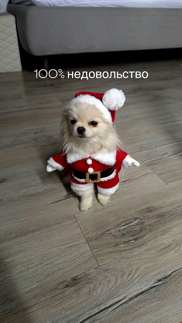imshigh_ imshigh_ archive image