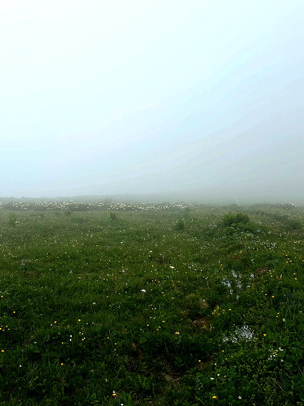 amatveyko instagram image archive image