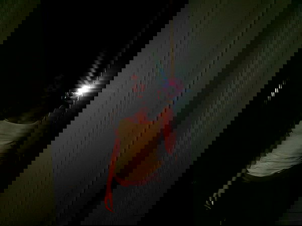 manjolamuriqi manjolamuriqi archive image