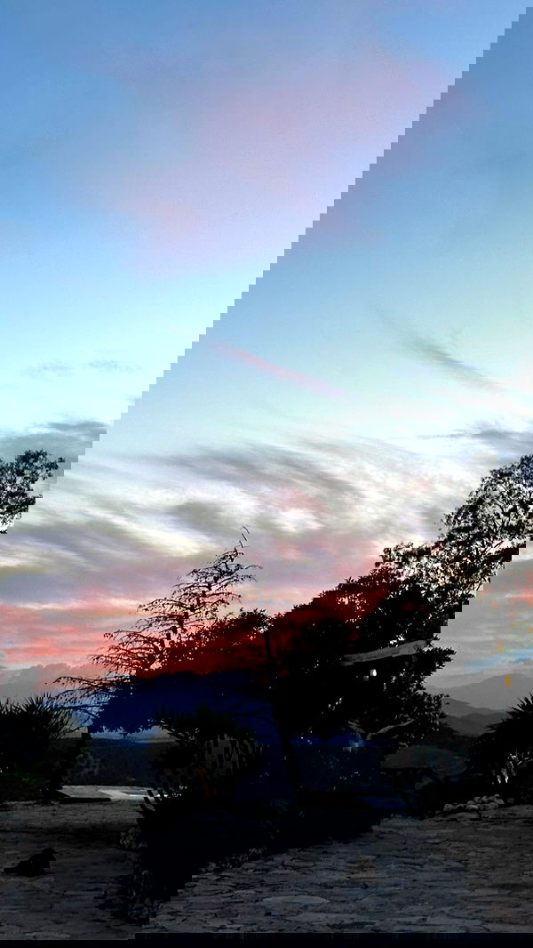 manjolamuriqi manjolamuriqi archive image