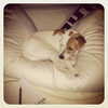 mariahcarey Altpins Profile Picture