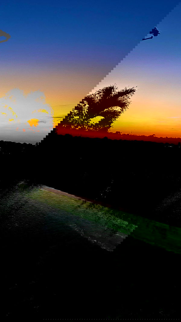 taylor.creeden taylor.creeden archive image