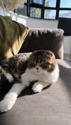 sonia_litvanchuk Altpins Profile Picture