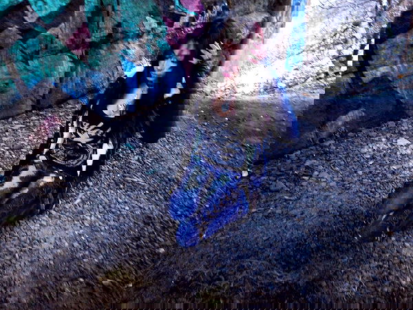 twodollie twodollie archive image