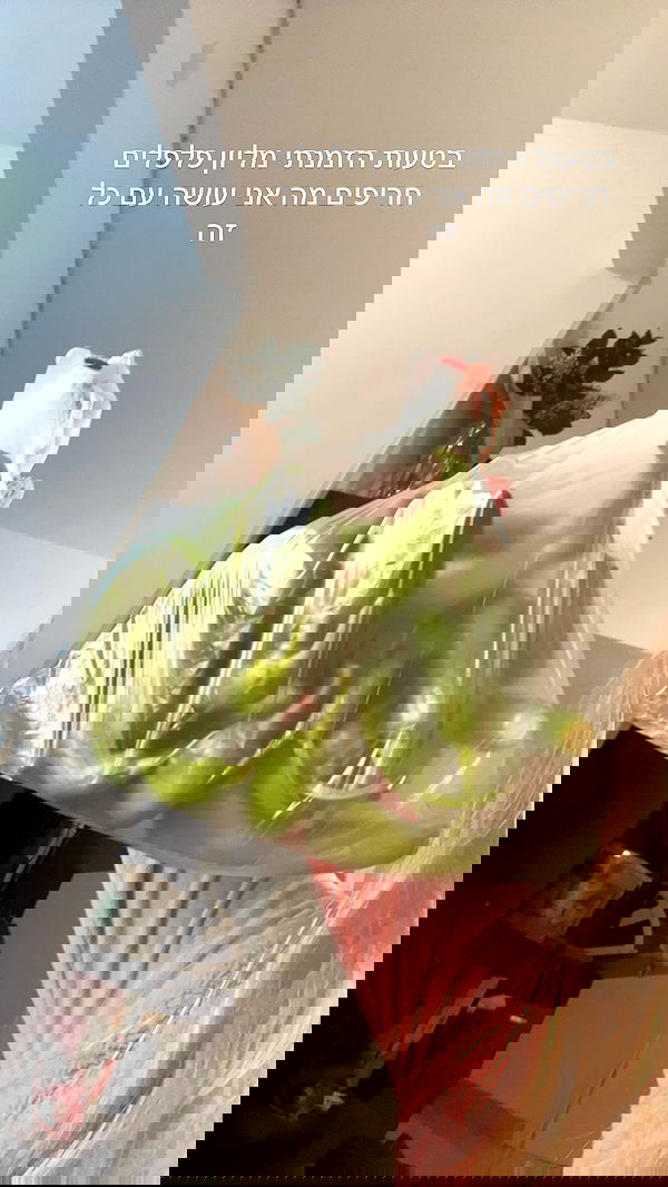 lila.garnik lila.garnik archive image