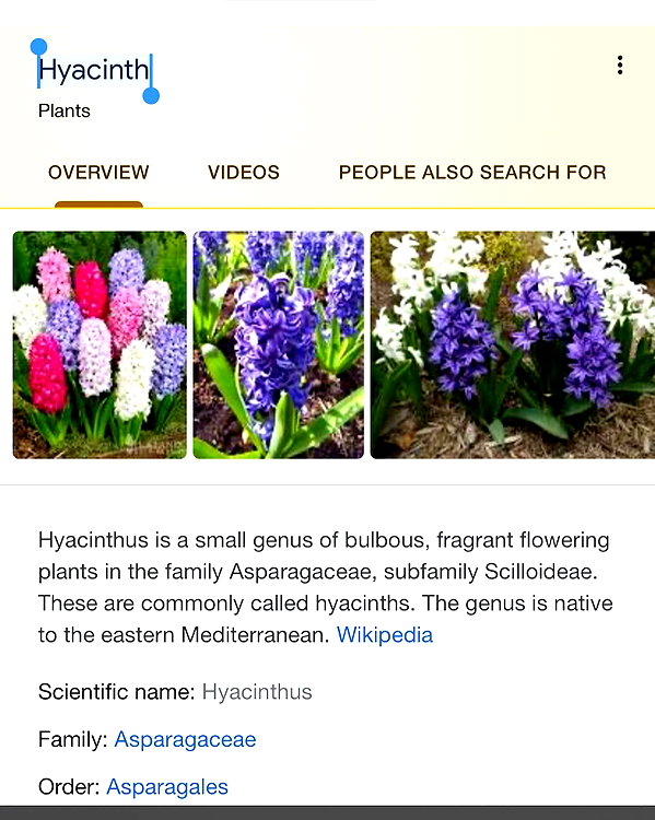 wormsheriff instagram image archive image