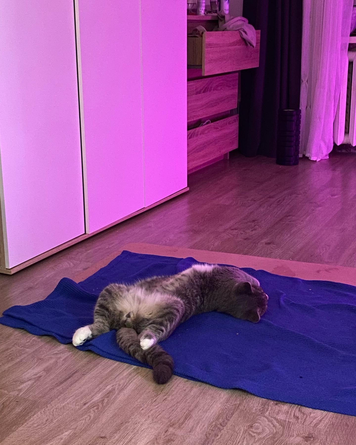 kkulakovaa instagram image archive image