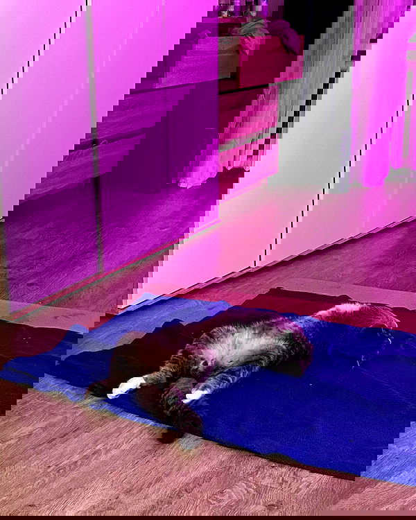 kkulakovaa image ~ Altpins