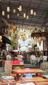 tirtza_cohen Altpins Profile Picture