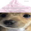 1uvgabi Altpins Profile Picture