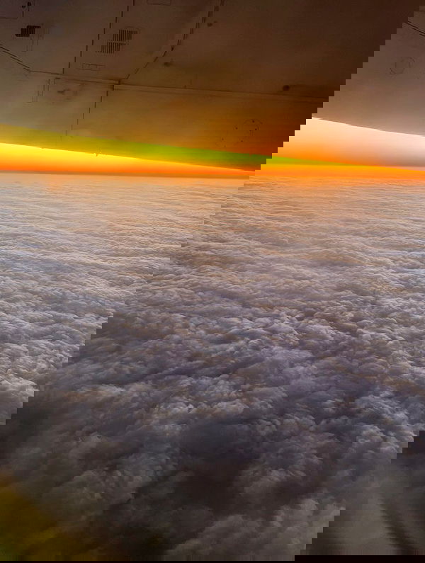 kitty.elliss kitty.elliss archive image