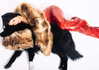 karolinaawasik Altpins Profile Picture