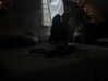 ash.onme Altpins Profile Picture