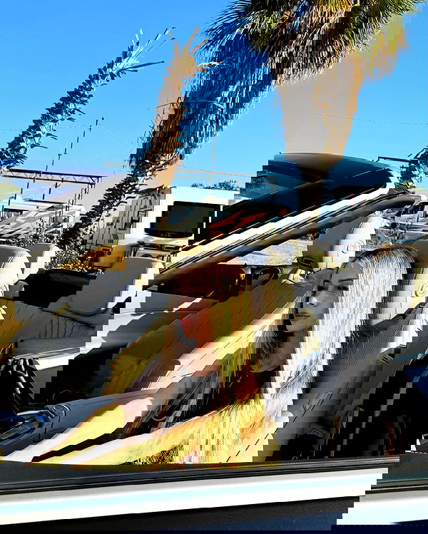 pinx_ir pinx_ir archive image