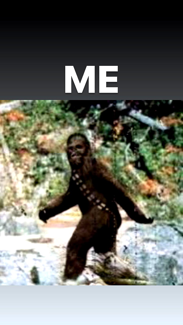 gabbyepstein archive image
