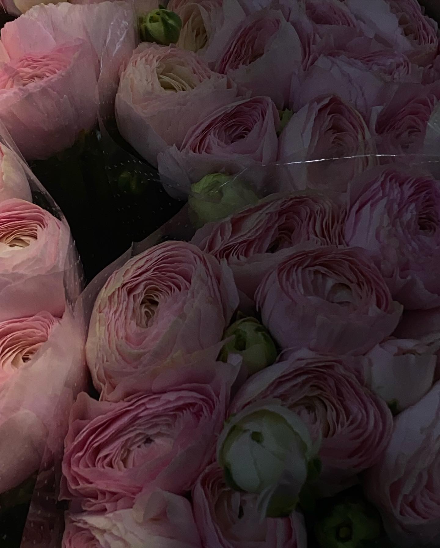 kkulakovaa instagram image archive image