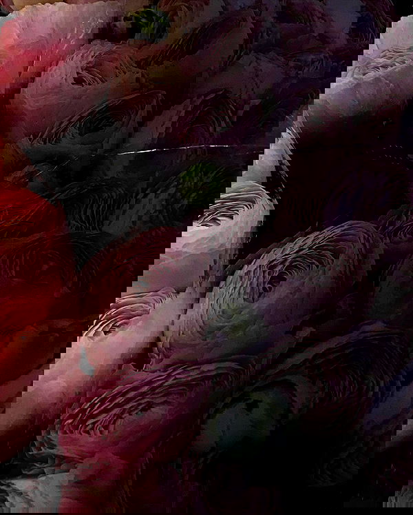 kkulakovaa image ~ Altpins