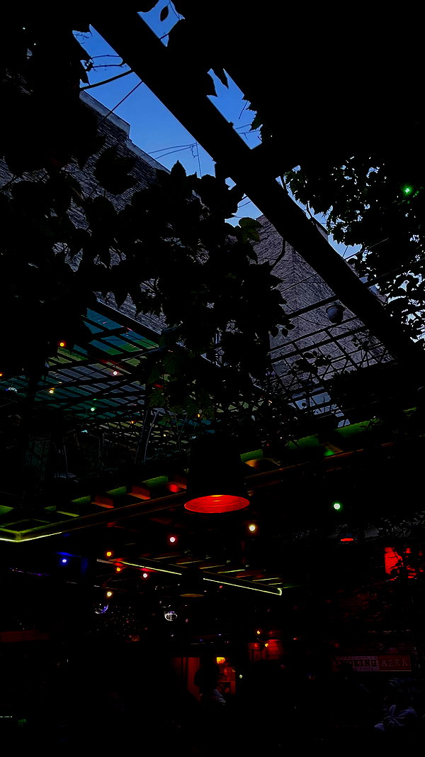 borkwsmh instagram image archive image