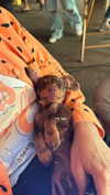 maya.keyy Altpins Profile Picture