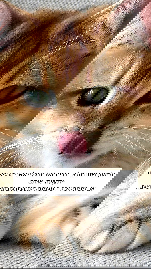 itsilanosh itsilanosh archive image