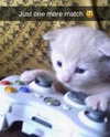 ellaexplicit_ Altpins Profile Picture