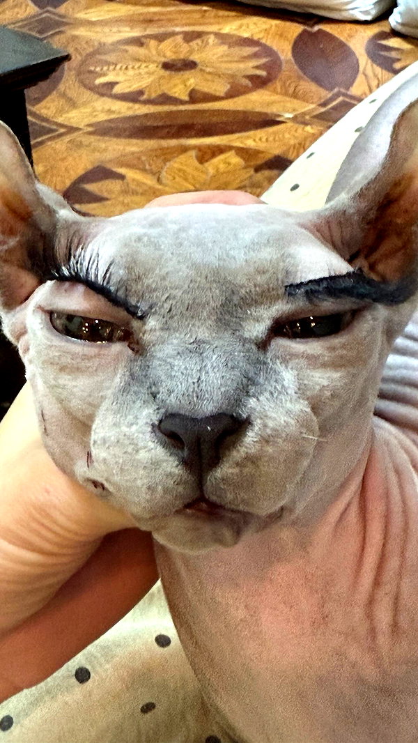 marilyn_damaged instagram image archive image