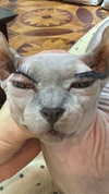 marilyn_damaged Altpins Profile Picture