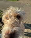 777pb_ Altpins Profile Picture